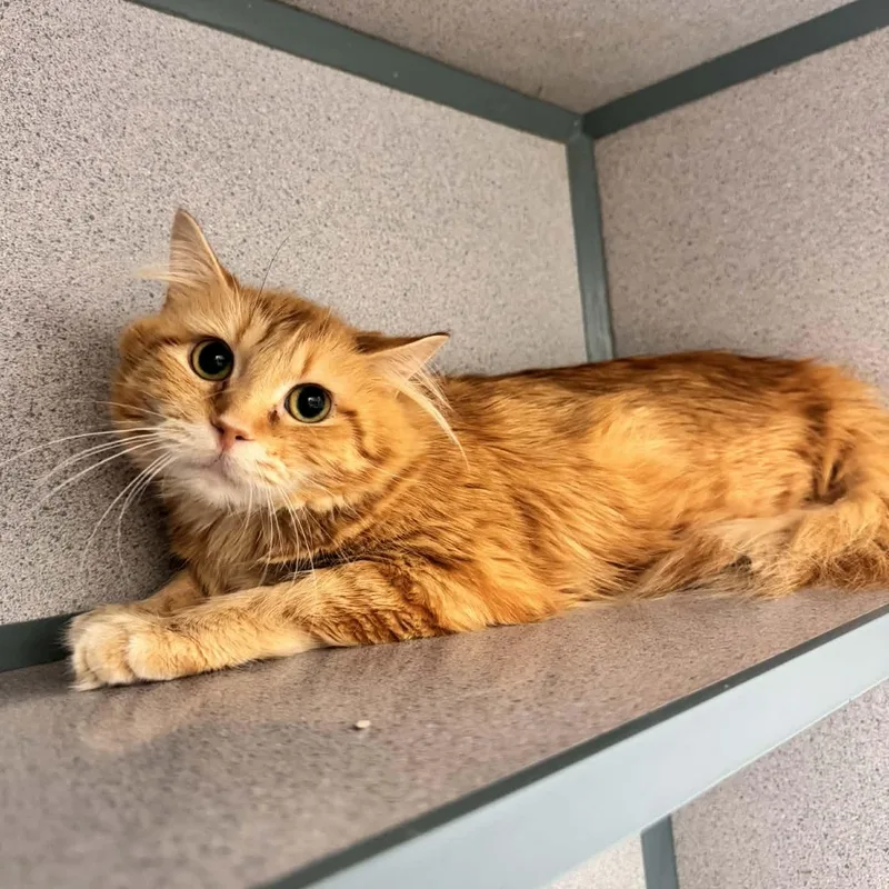 Makenzie thumbnail 2