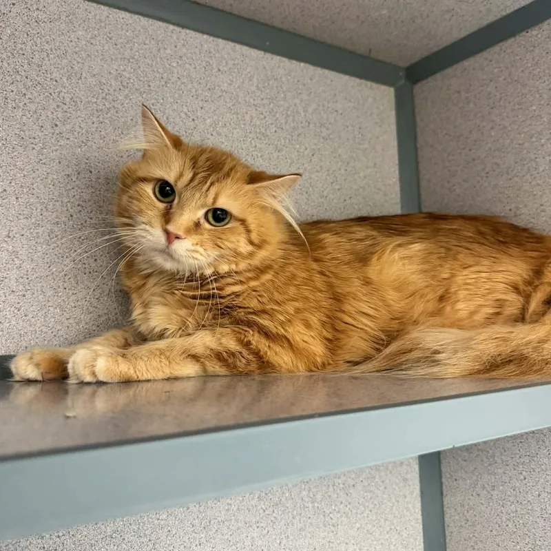 Makenzie thumbnail 3