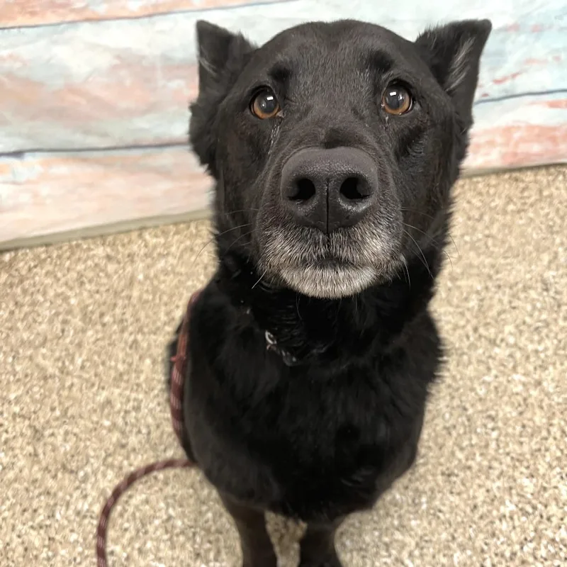 Tiffany Ann thumbnail 2