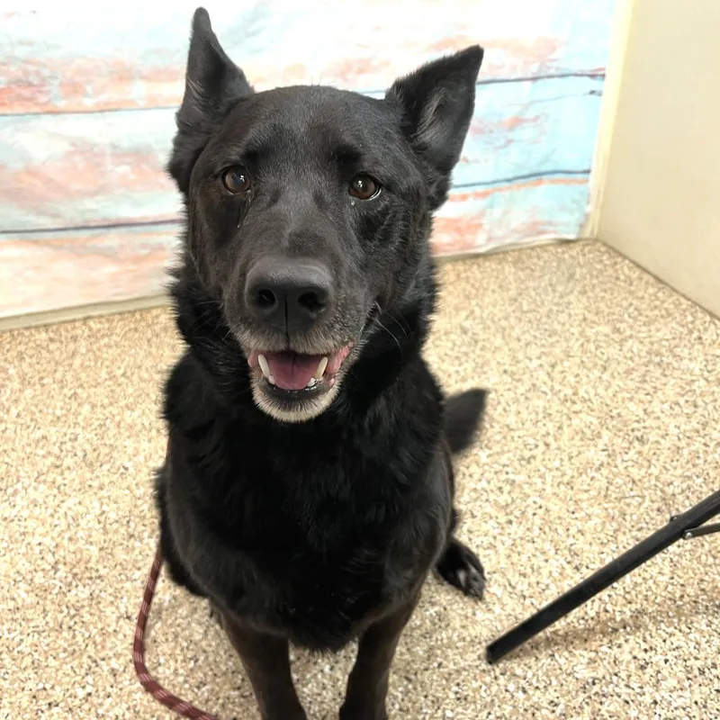 Tiffany Ann thumbnail 3