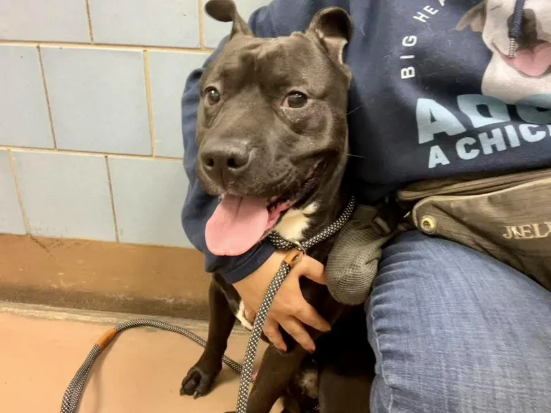 Rockwell thumbnail 2