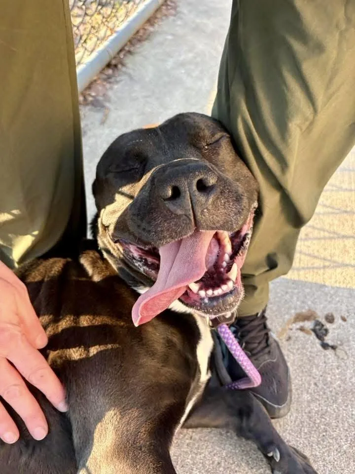 Rockwell thumbnail 4