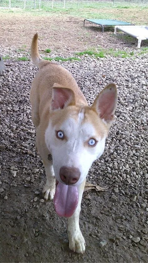 Starsky & Hutch thumbnail 2