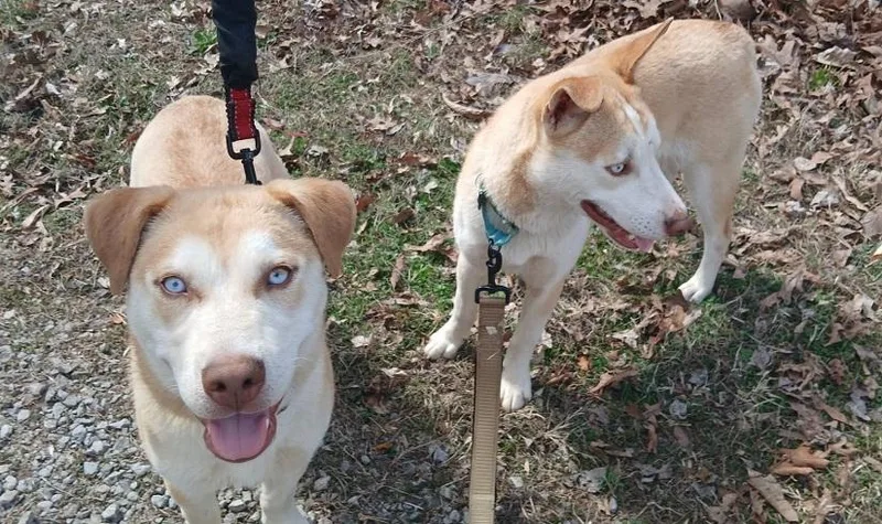 Starsky & Hutch thumbnail 3