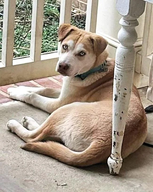 Starsky & Hutch thumbnail 4