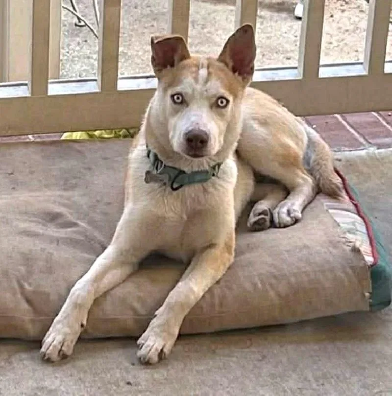 Starsky & Hutch thumbnail 5