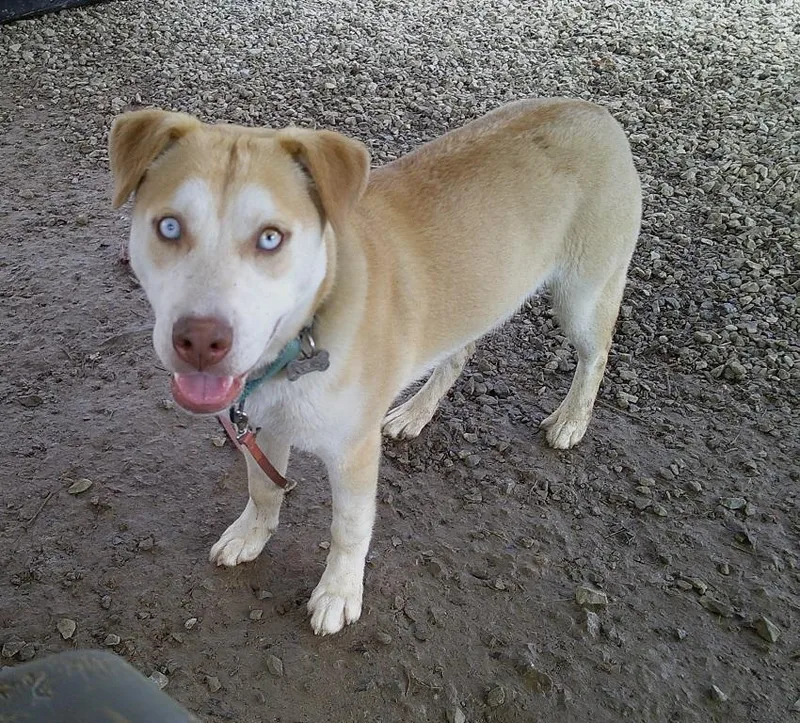 Starsky & Hutch thumbnail 6