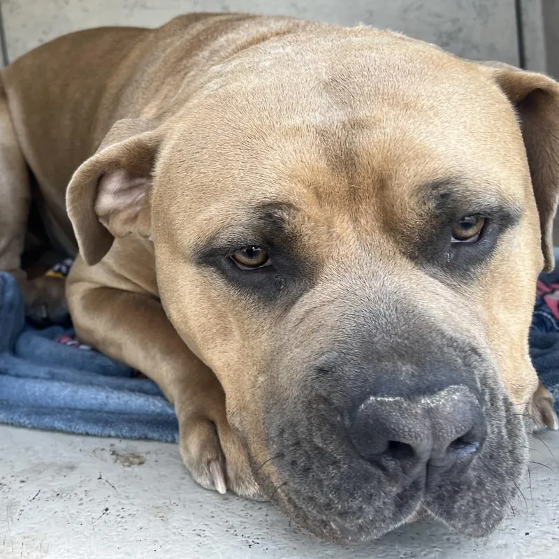 Big Gulp thumbnail 2