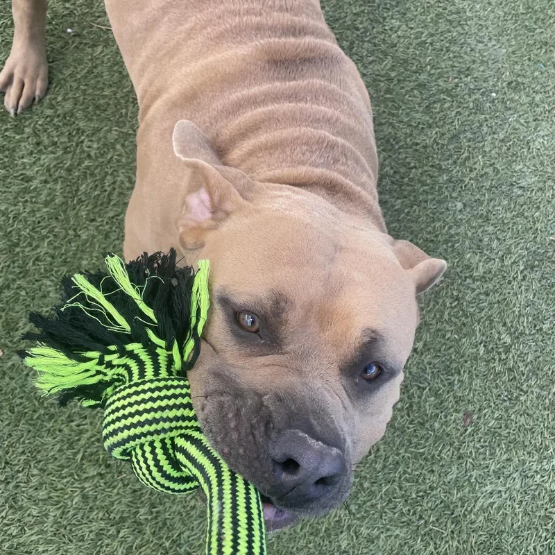 Big Gulp thumbnail 3