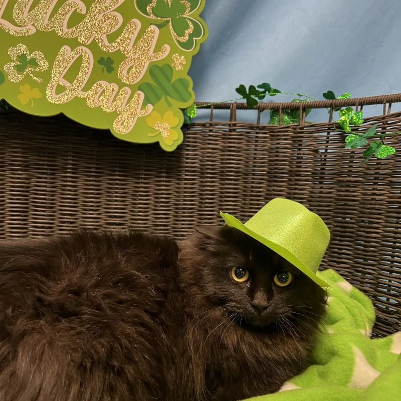 Minny Jackson thumbnail 2