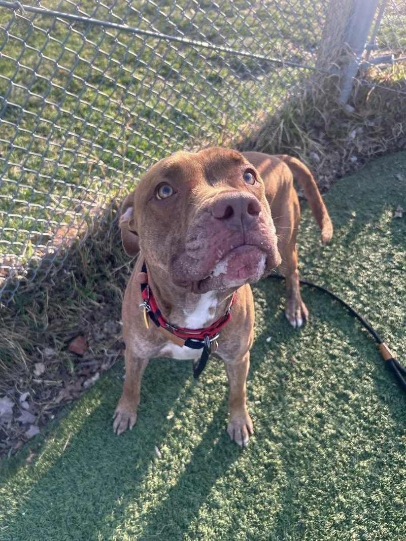 Rafferty thumbnail 2