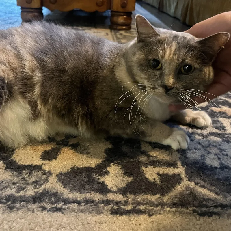 Kiki Andrade thumbnail 2