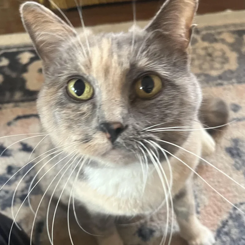 Kiki Andrade photo 1