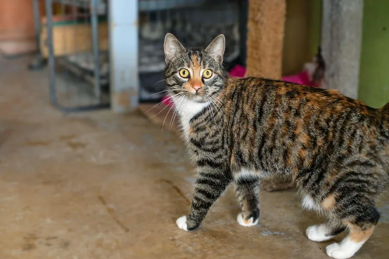 Christi Anna thumbnail 3