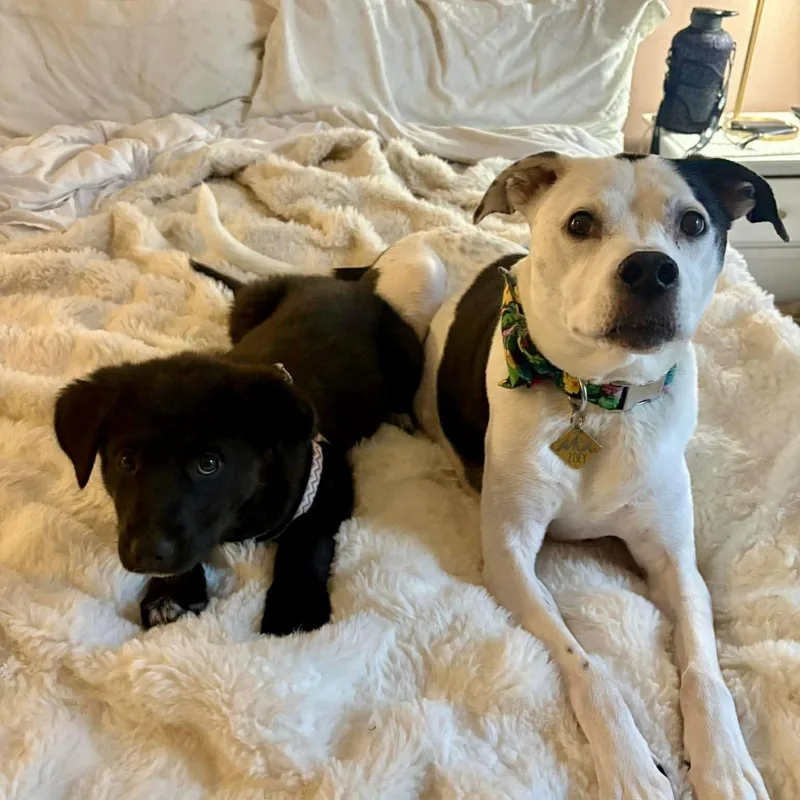 Espresso thumbnail 2