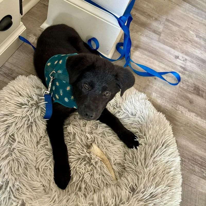 Espresso thumbnail 3