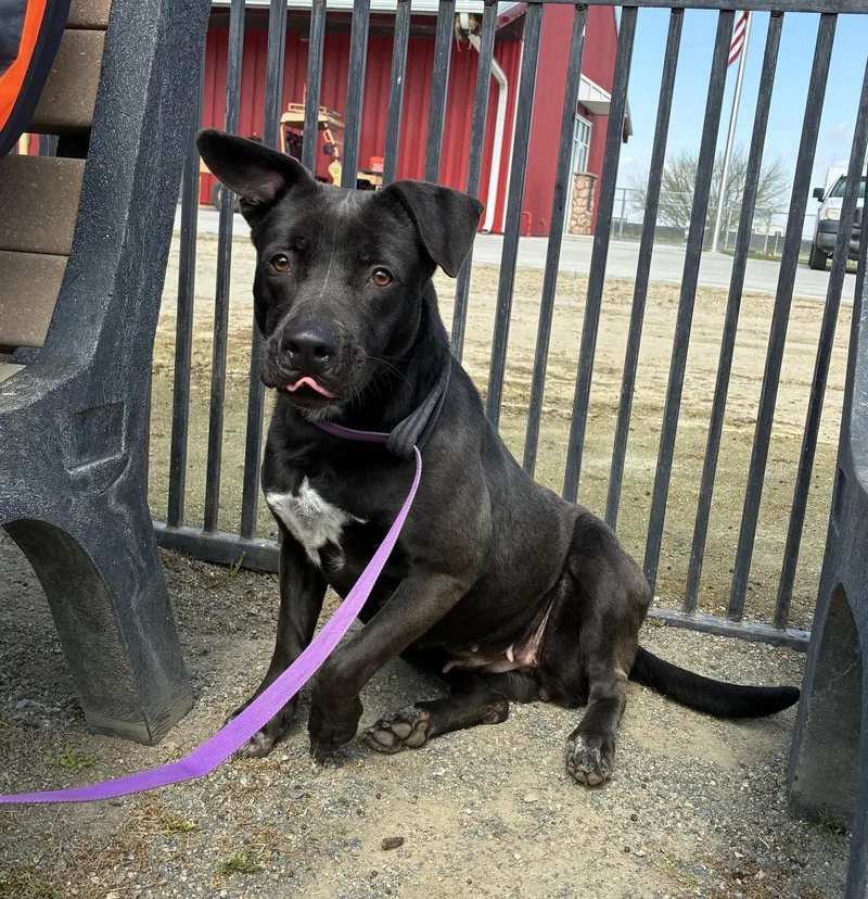 Eternity thumbnail 2