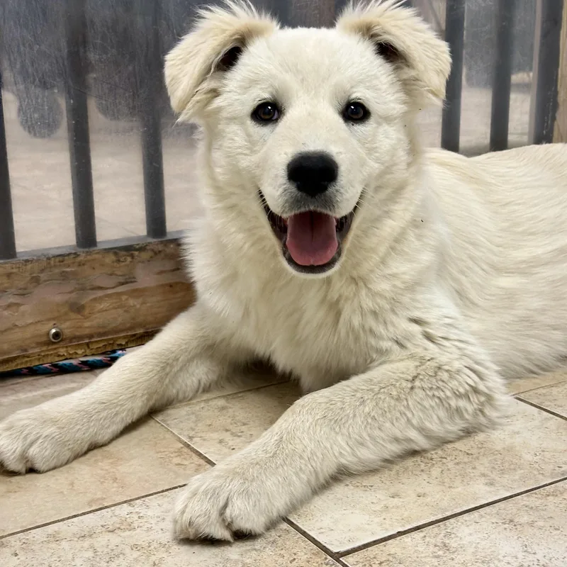 Ilia  Alysa  thumbnail 2