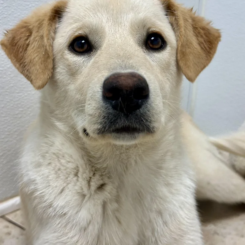 Ilia  Alysa  thumbnail 3