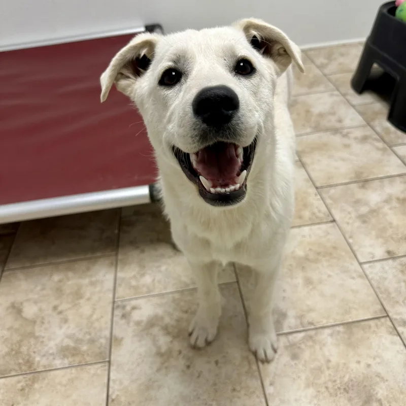 Ilia  Alysa  thumbnail 4