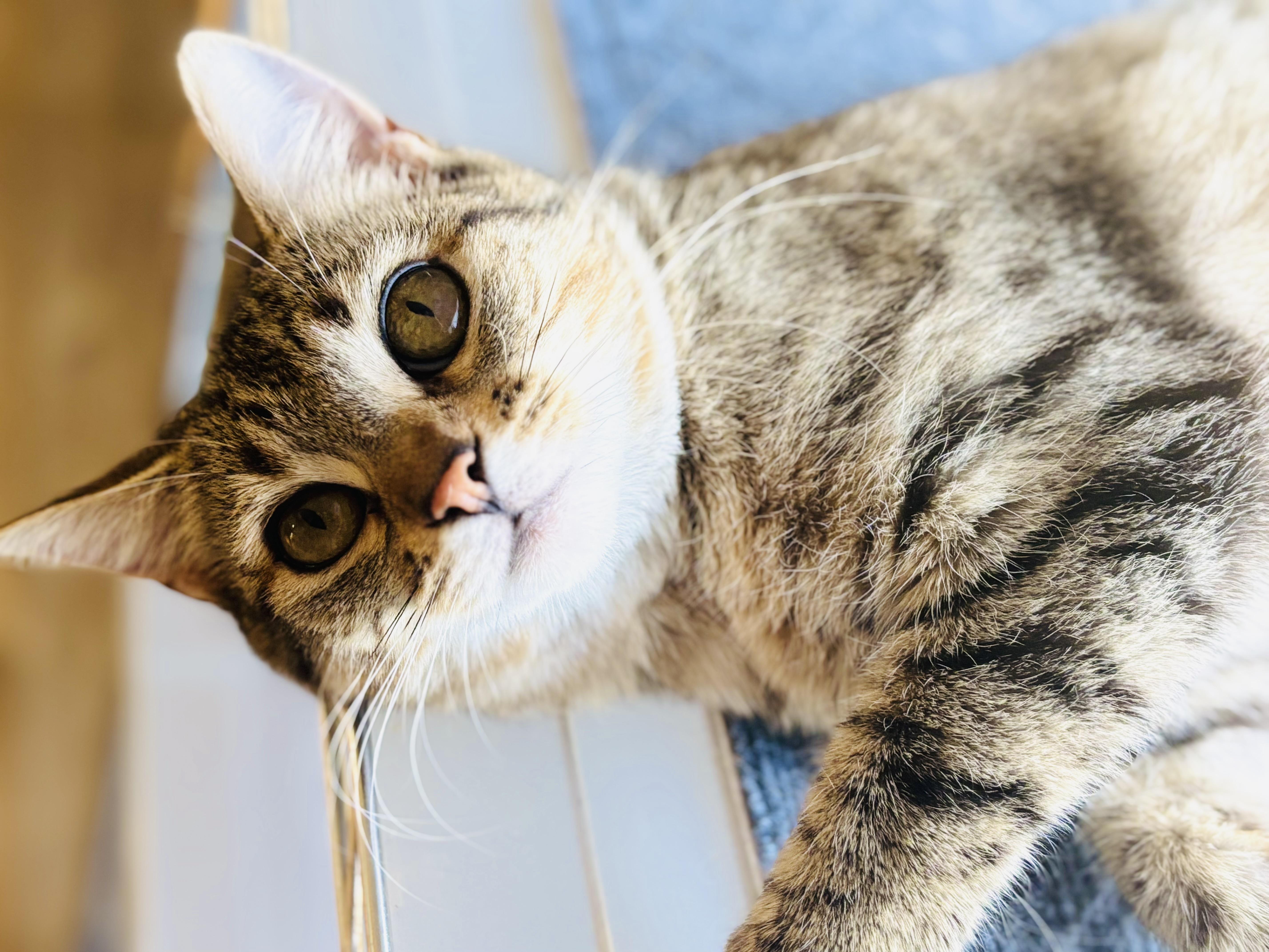 Billie Jean thumbnail 2