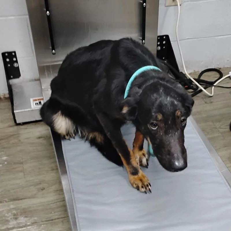 Brooklynn thumbnail 2