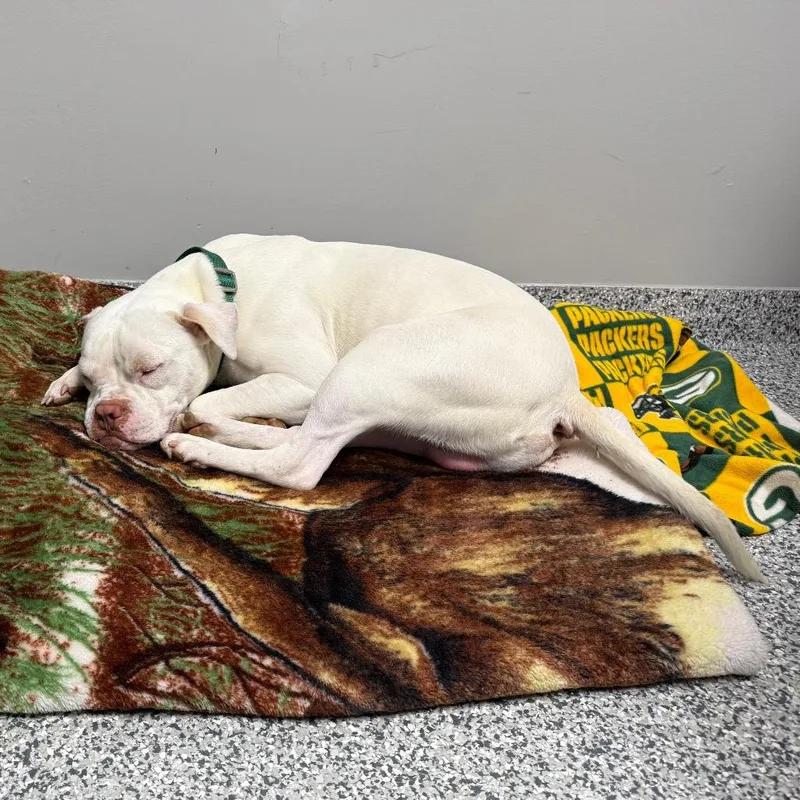 Mike Tyson thumbnail 2