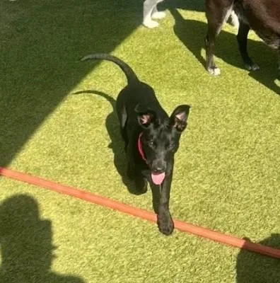 Obsidian thumbnail 5