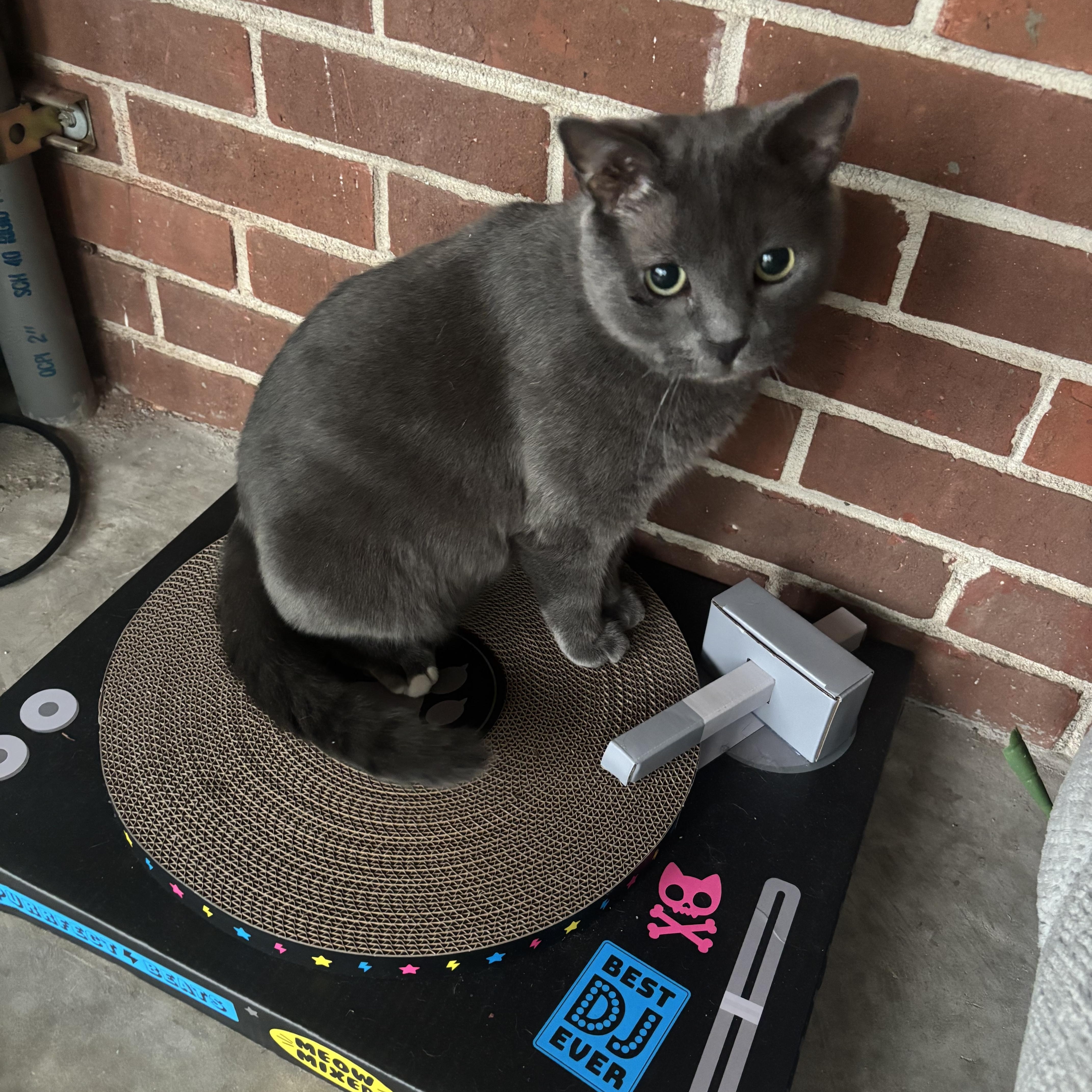 Moonstone thumbnail 4