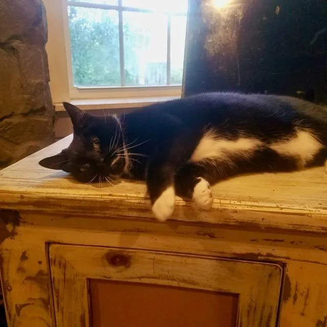 Jezabelle Cr thumbnail 4