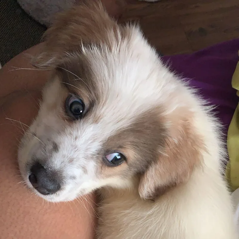 Bennington thumbnail 3