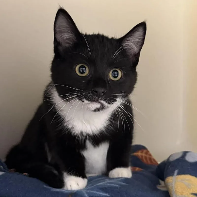 Mary Kate thumbnail 2