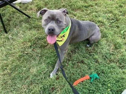 Tito Ali thumbnail 2