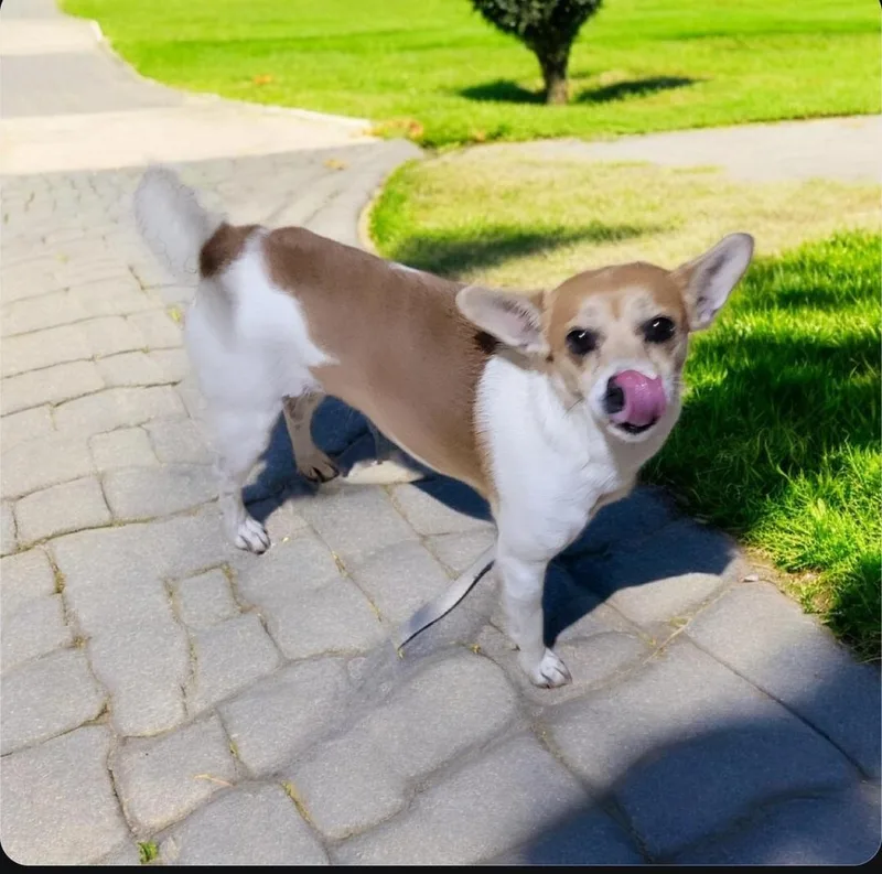 Isabella thumbnail 2