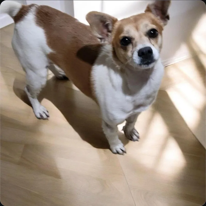 Isabella thumbnail 5