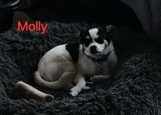 Molly