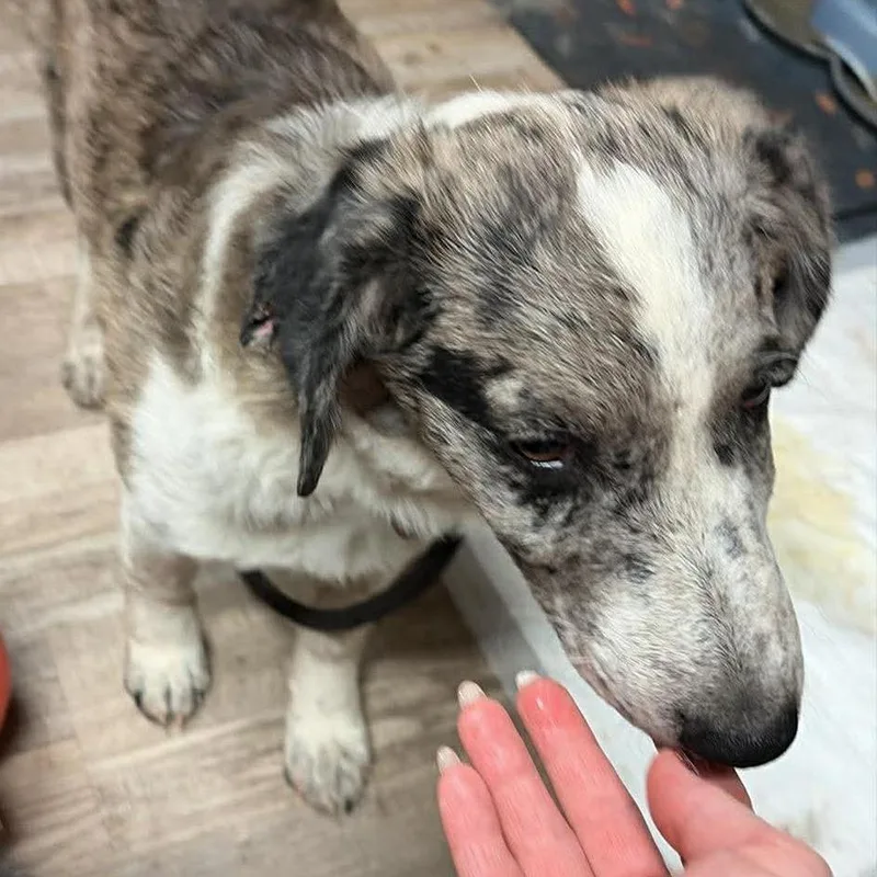 Lyric Jdg thumbnail 2