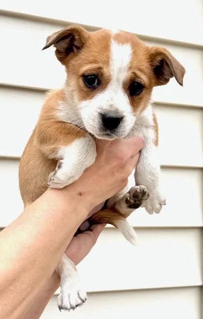 Lily Flora thumbnail 2