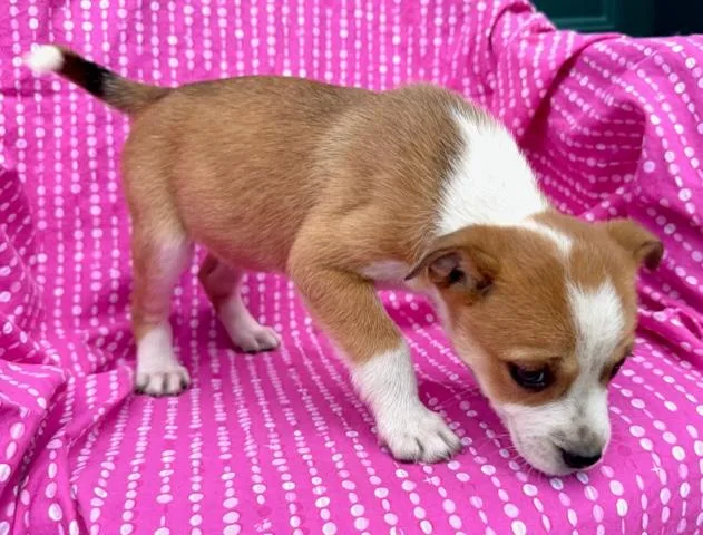 Lily Flora thumbnail 5