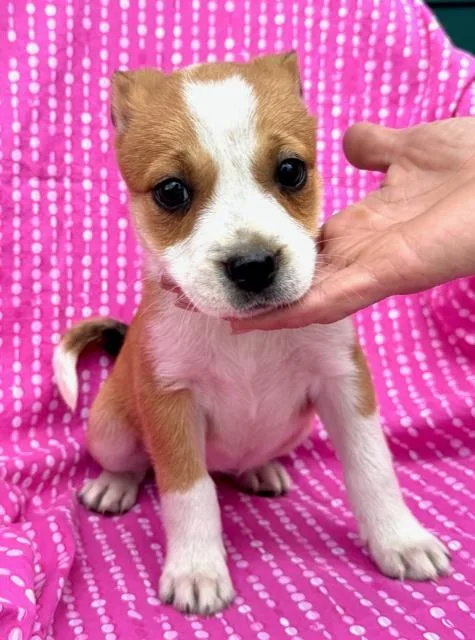 Lily Flora thumbnail 6