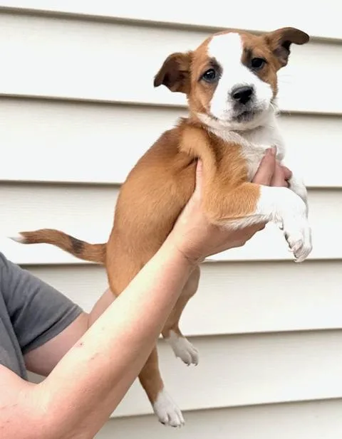 Bud Flora thumbnail 6