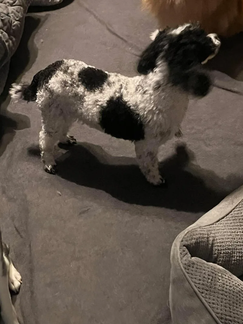 Samantha thumbnail 2