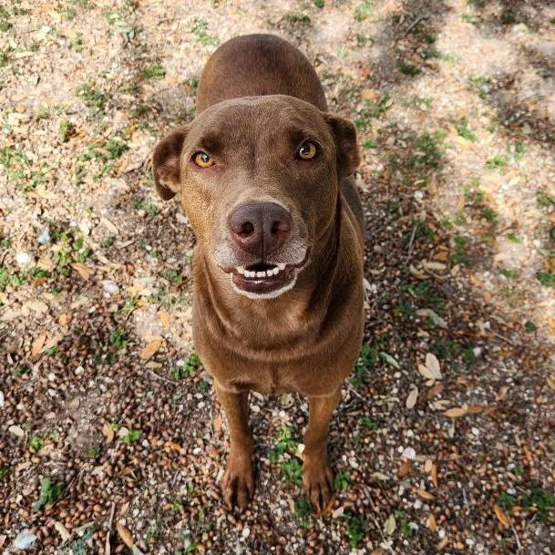 Milwaukee thumbnail 2