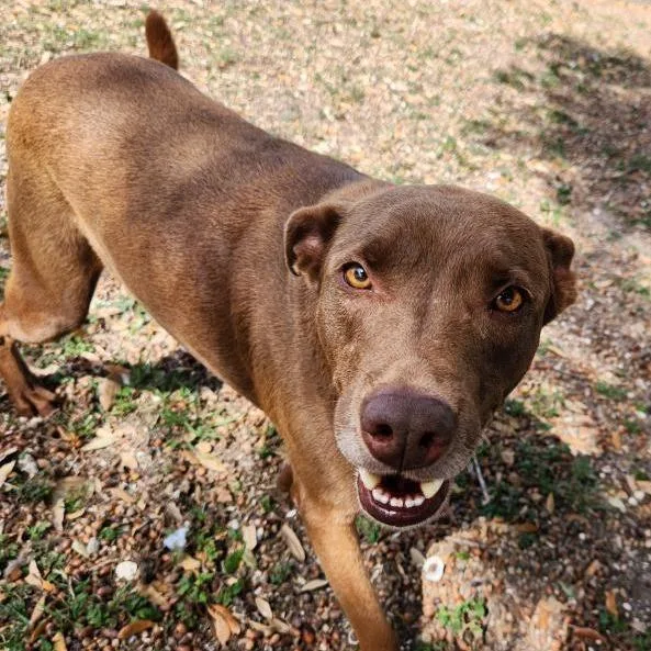 Milwaukee thumbnail 3