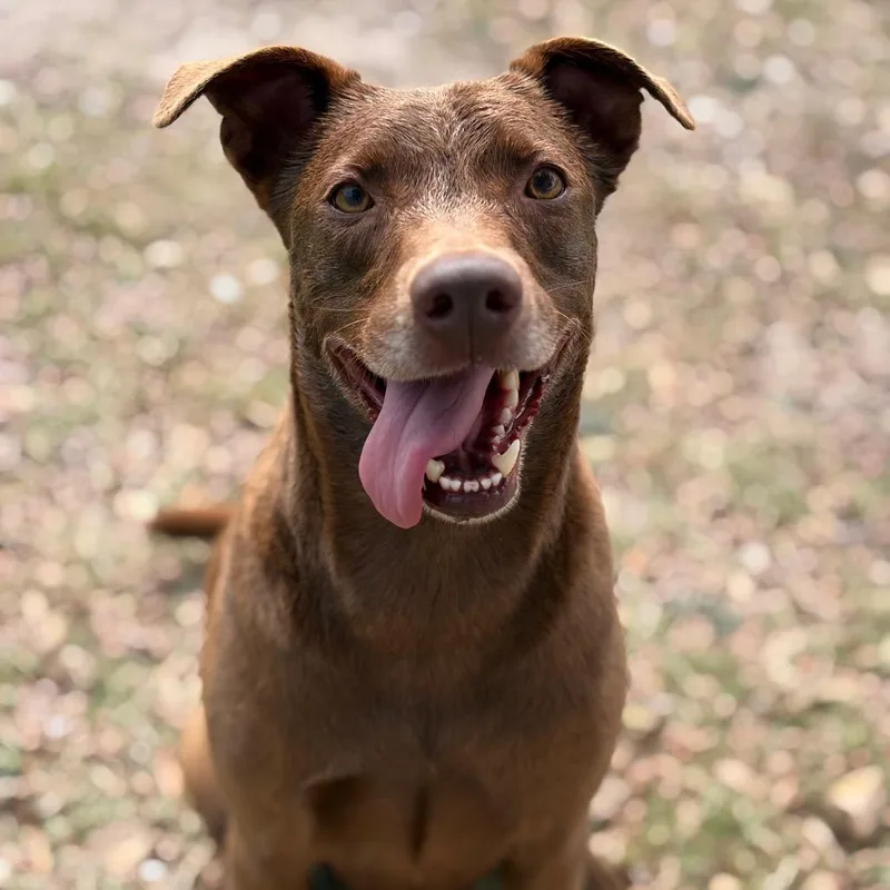 Milwaukee thumbnail 4