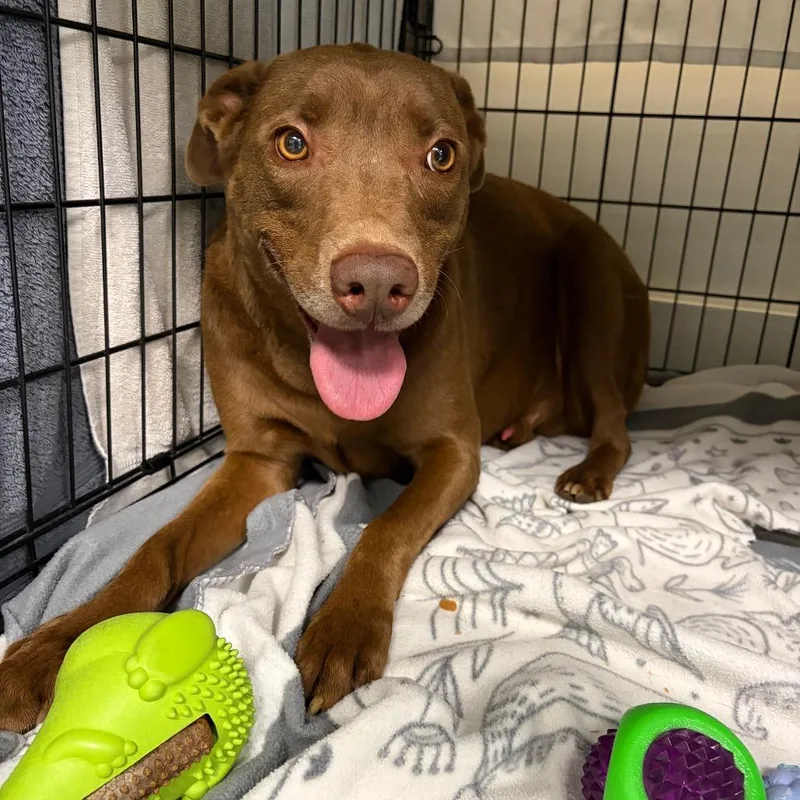 Milwaukee thumbnail 6