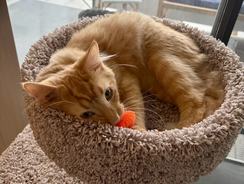 Jazz And Blues thumbnail 2