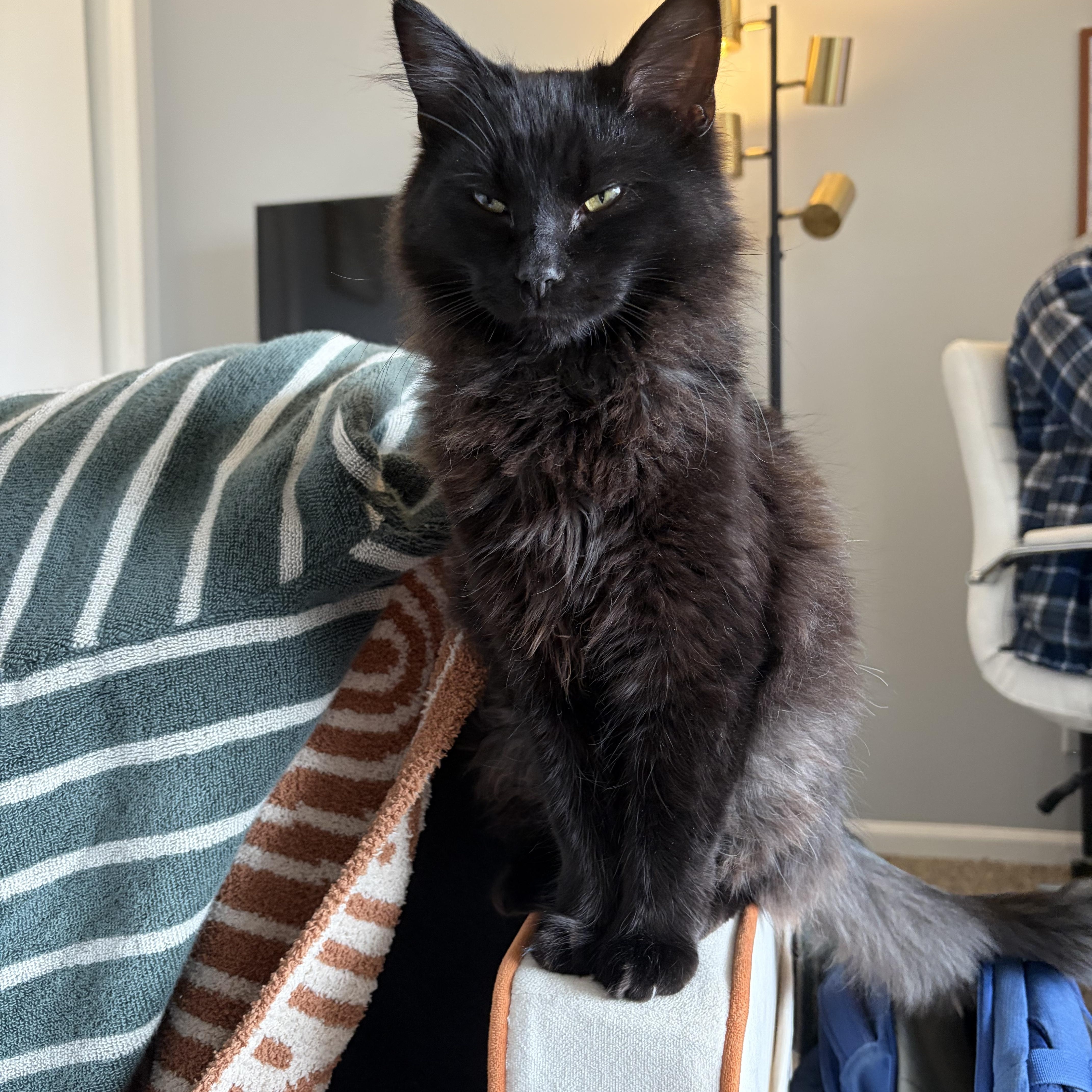 Jazz And Blues thumbnail 4