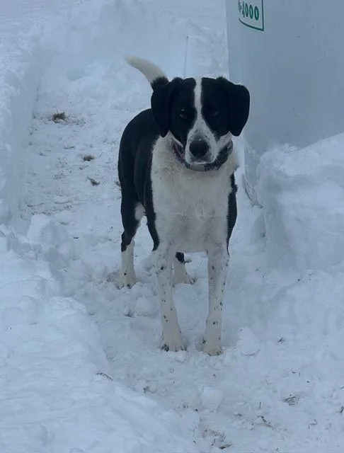 Finn Lee thumbnail 2