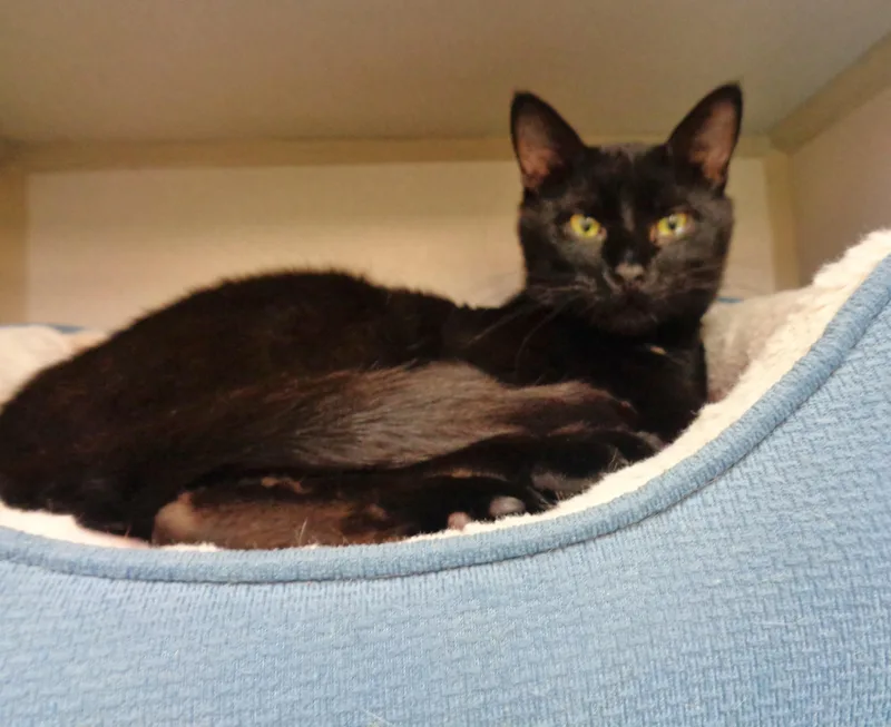 Propeller thumbnail 2